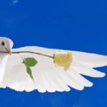 Ethiopia Peace Observatory Weekly: 2 – 8 July 2022