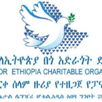 በአገራዊ ዕርቀ ሰላም ዙሪያ የተዘጋጀ የፓናል ውይት